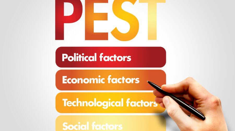 Why choose Potsdam Bee Hive Relocation for bee hive relocation in Potsdam